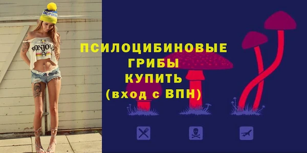 метадон Алексин