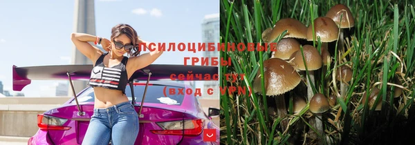 ECSTASY Алексеевка