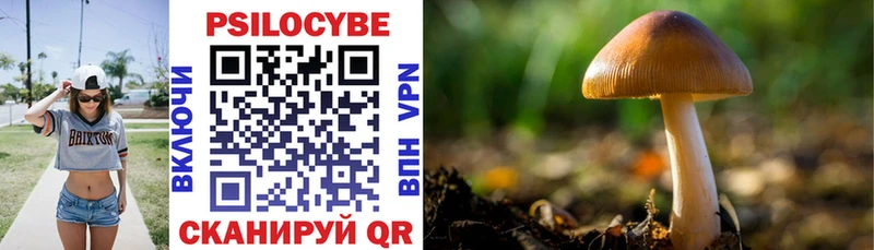 Галлюциногенные грибы Cubensis  Новоалександровск 